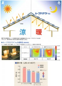 rooframirx01